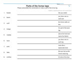 Parts of the horse Worksheets
