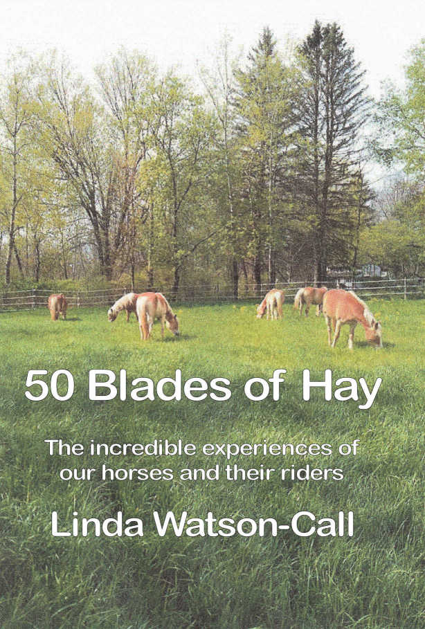 50 Blades of Hay