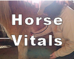 Vital Signs for Horses